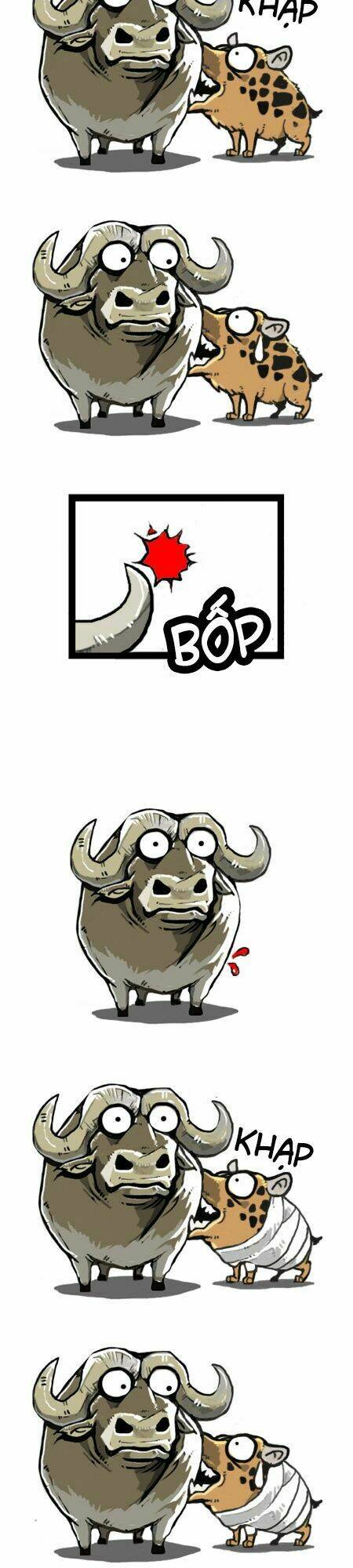 earth, human, and animal chapter 9 14