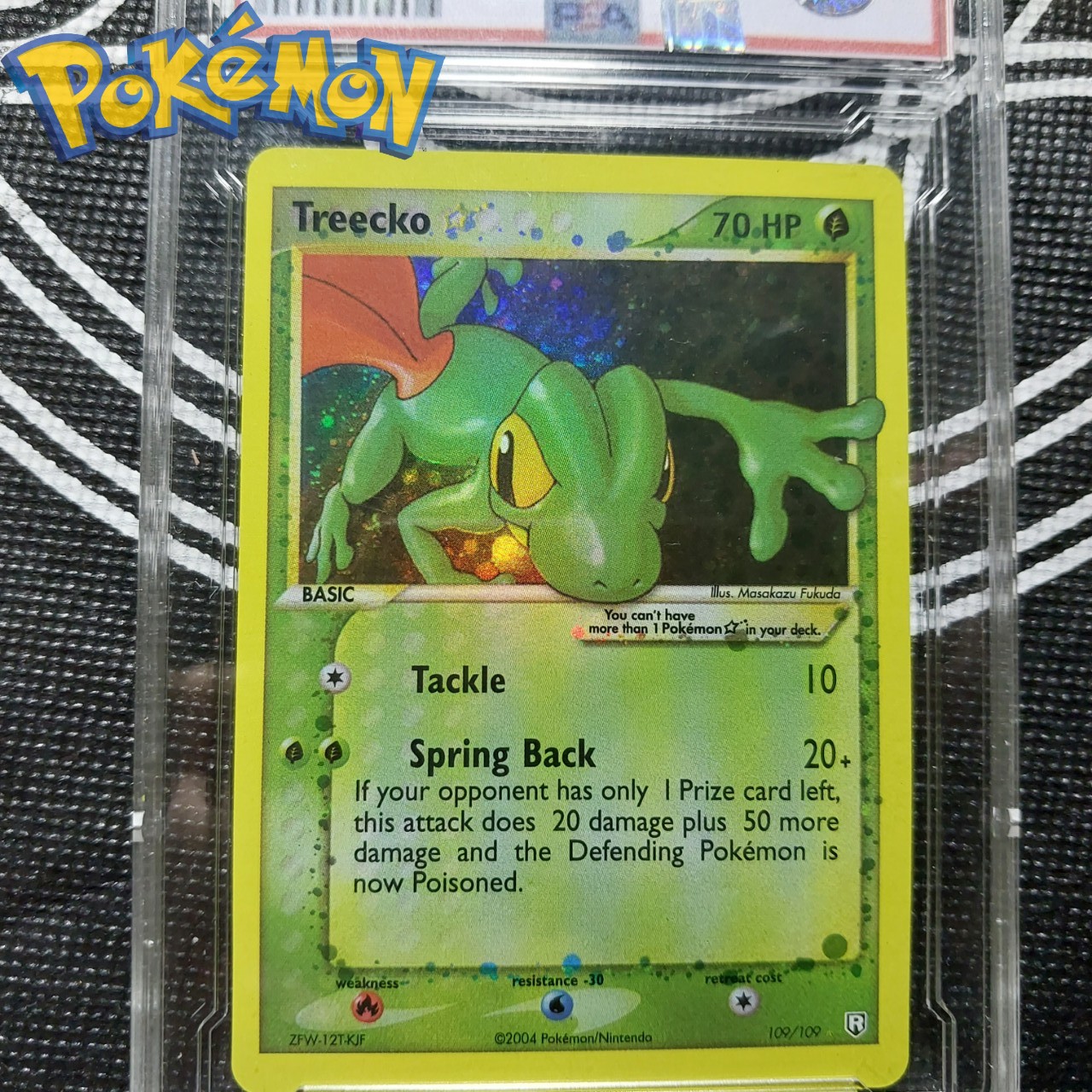 Bài Pokemon năm 2004 Treecko 109 109 Kỳ nhong 1459 d7 1 40