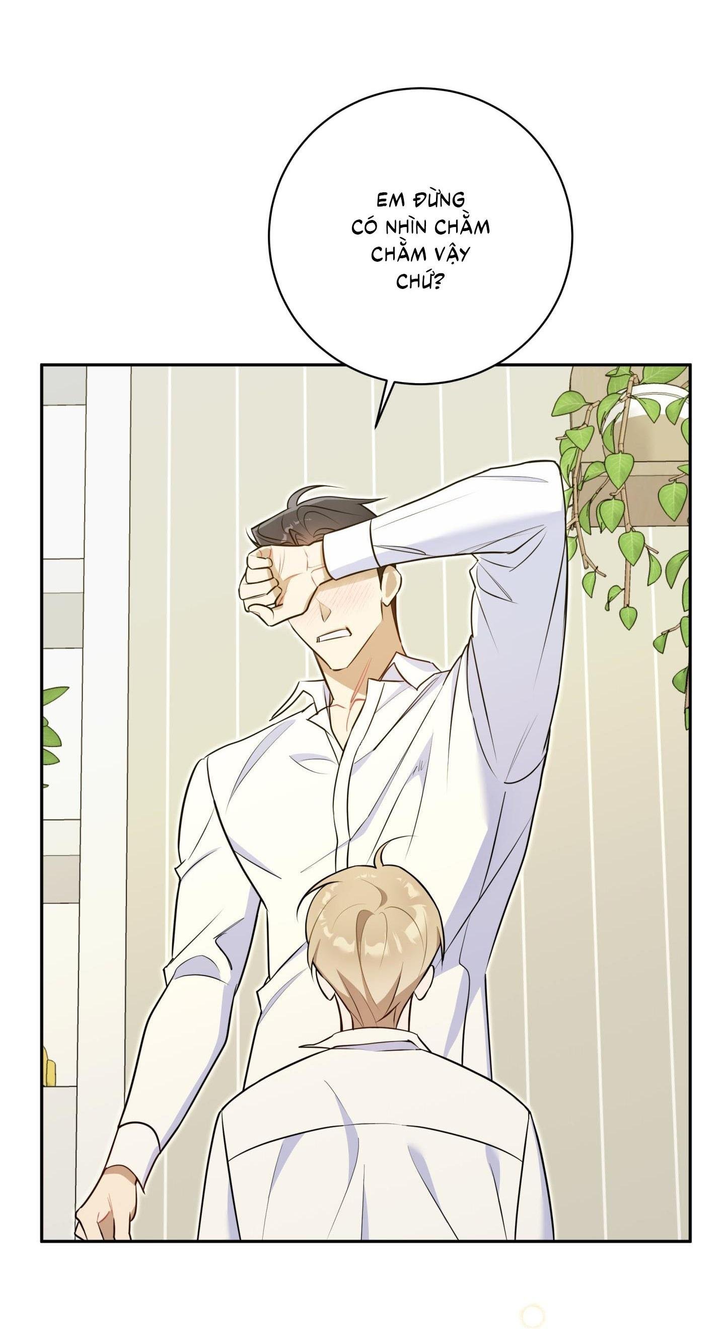 bắt tay hả, thôi bỏ đi! chapter 31 36