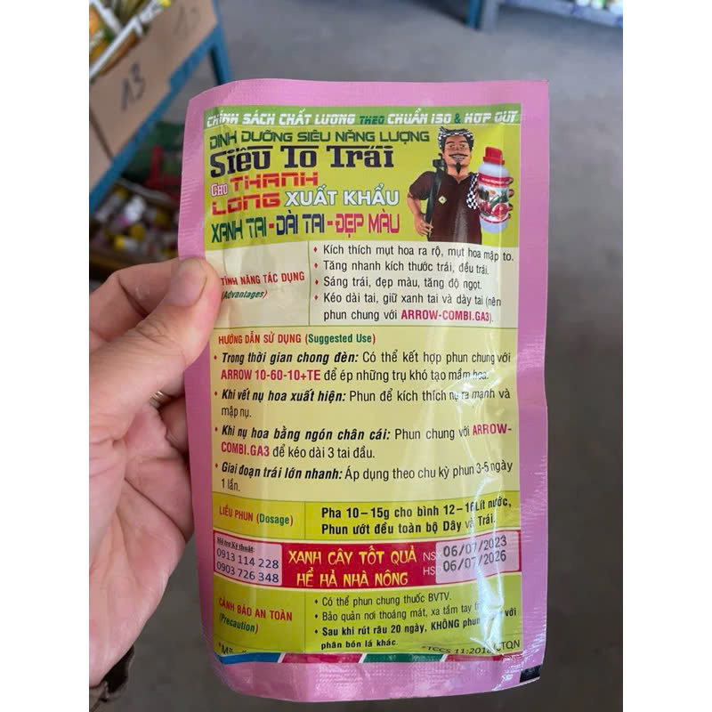 Siêu to trái Thanh Long - Quang nông không lem - Siêu ra hoa - Xanh tai - Dày tai - Đẹp màu