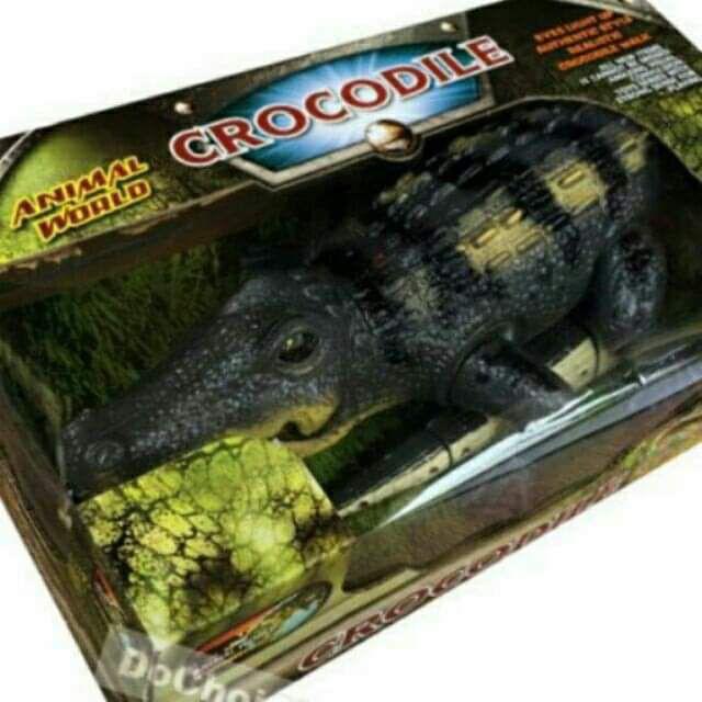 Cá sấu pin nhạc đèn size to