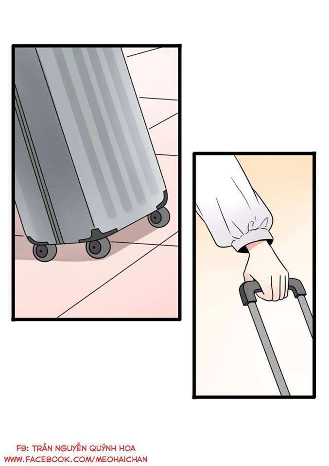 tình yêu! bắt đầu từ ngày hôm nay chapter 17 19