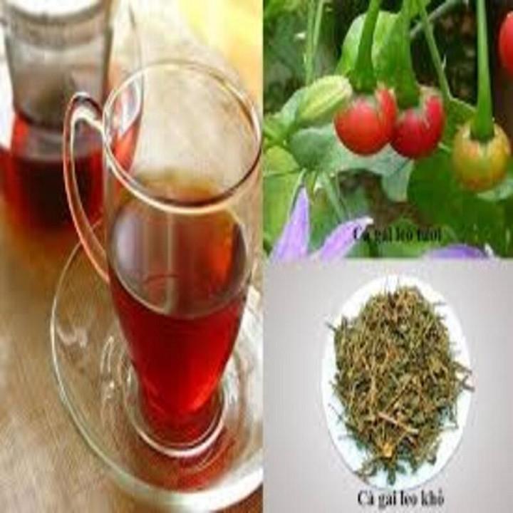 CÂY GIỐNG CÀ GAI LEO SIÊU TỐT