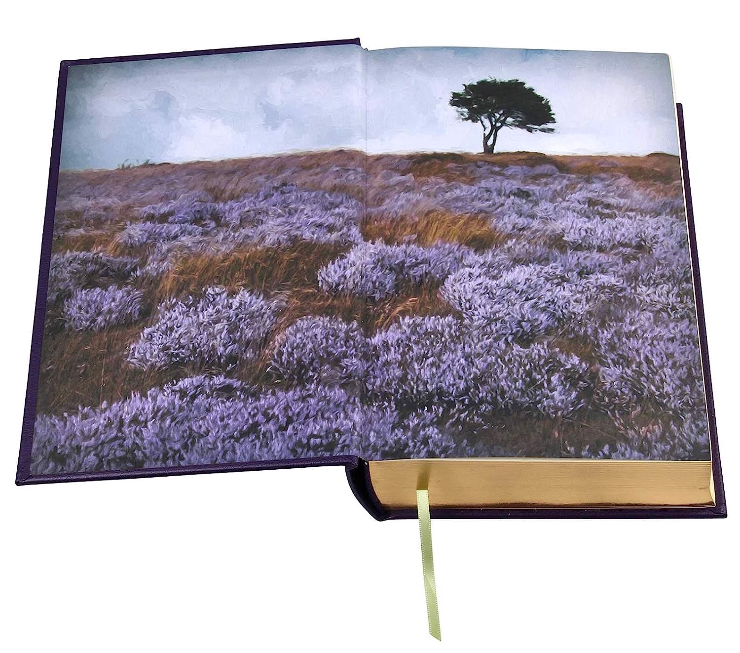 Artbook - Sách Tiếng Anh - Selected Works of the Bronte Sisters