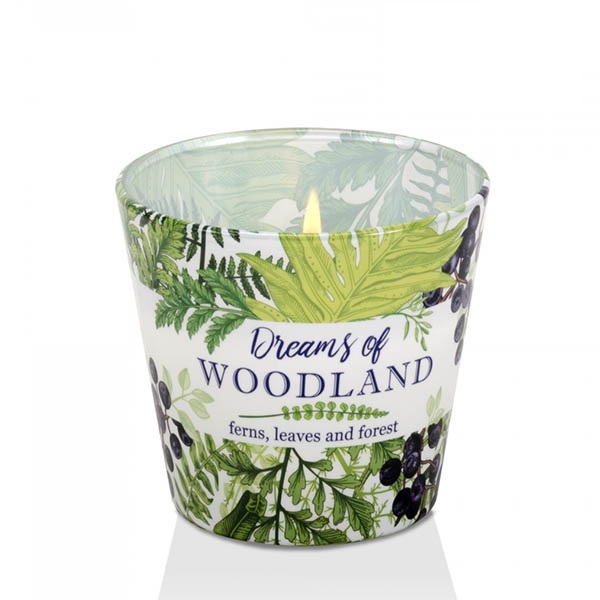 Ly nến thơm Bartek Candles BAT5222 Dream of Woodland 115g (Hương cây dương sỉ)