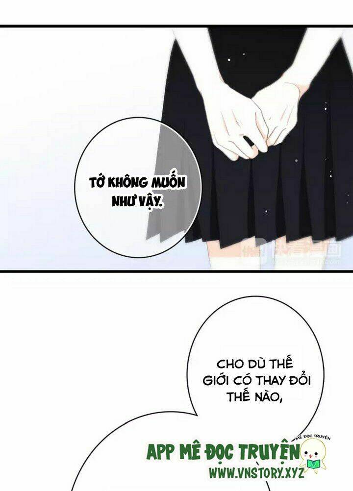 con tim rung động 3 chapter 46 11