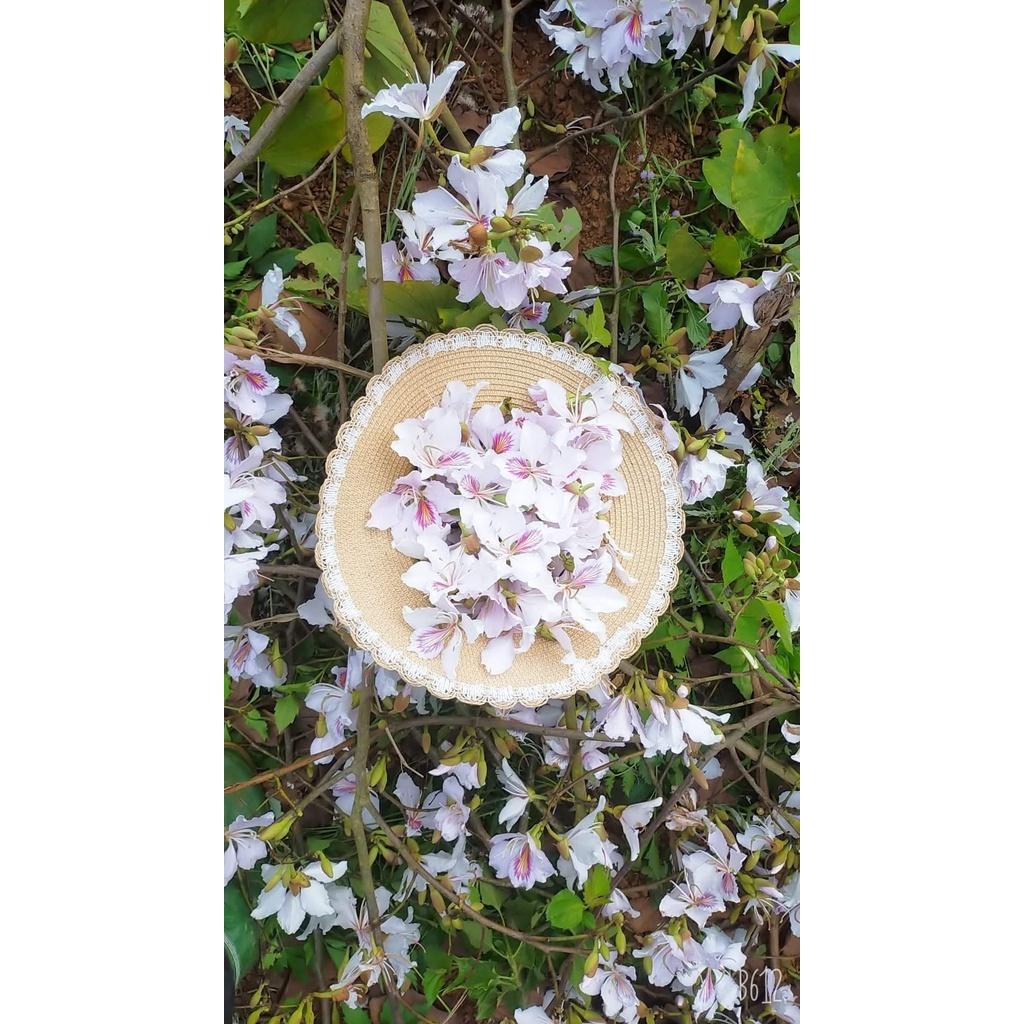 1kg Hạt giống ban tây bắc