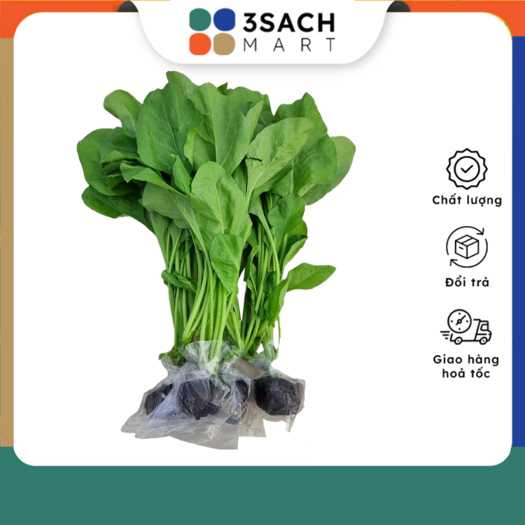 Cải Bó Xôi Thủy Canh Gói 250Gr