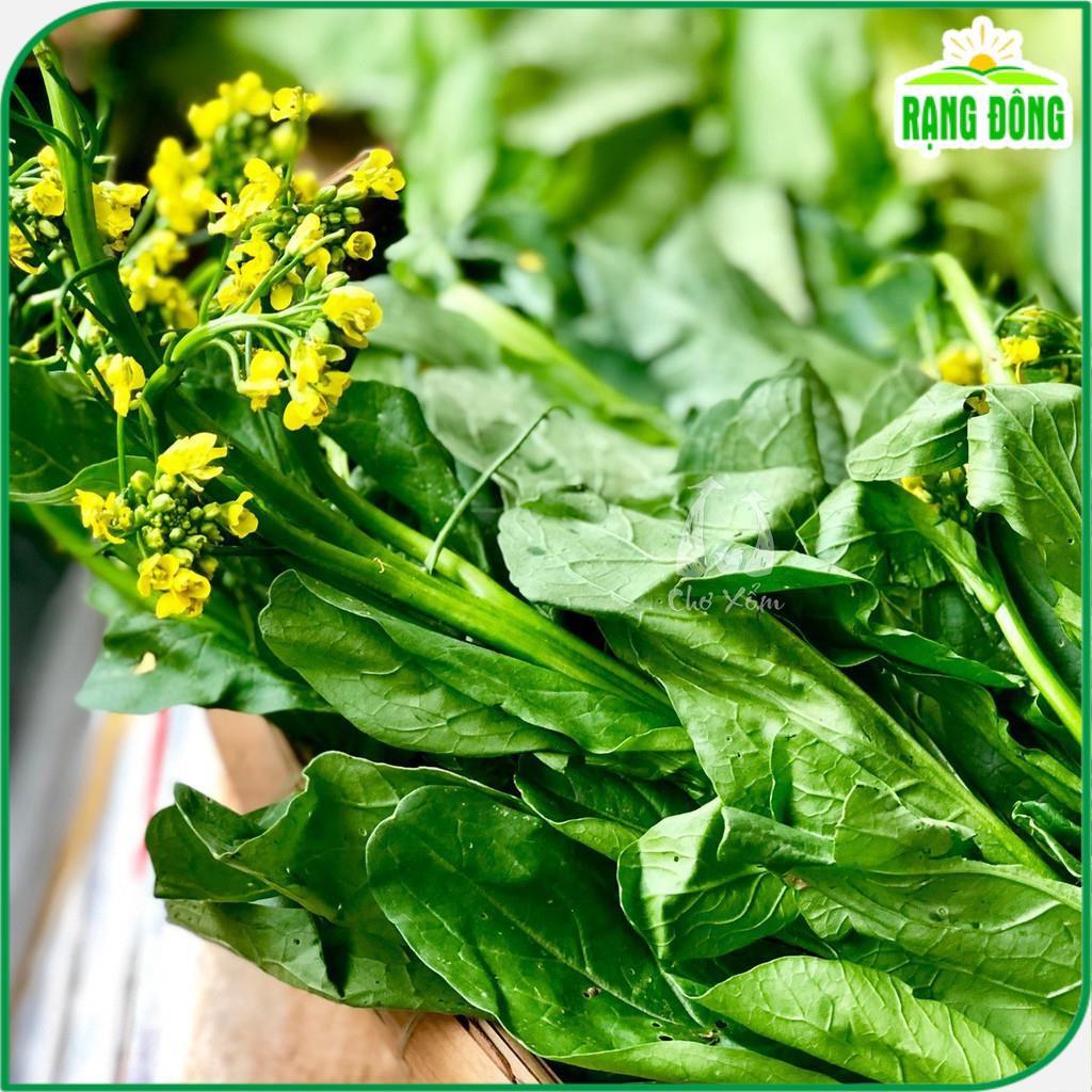 Hạt giống Cải Ngọt Bông - Hạt Giống Rạng Đông