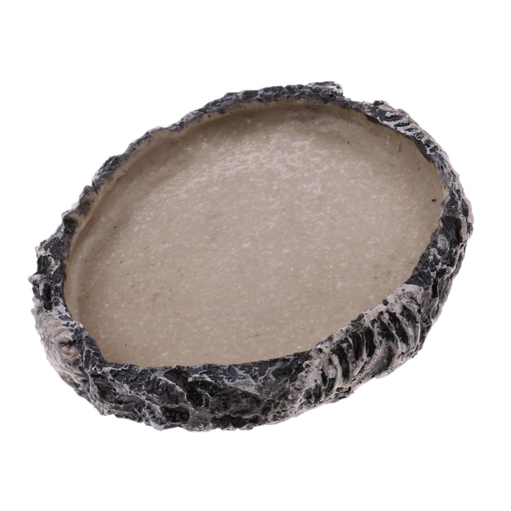 Reptile Vivarium Terrarium Feeding Bowl Tortoise lizard Gecko Tarantula Water Food Worm Feeder Basin Shaped