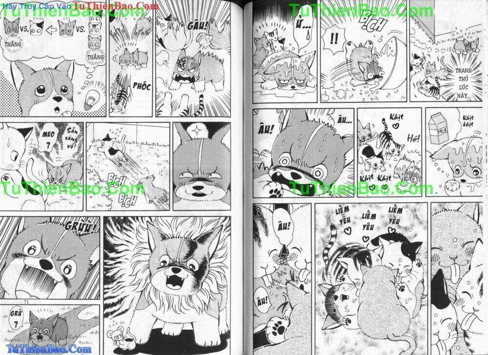 chó con mo mo chapter 5 36