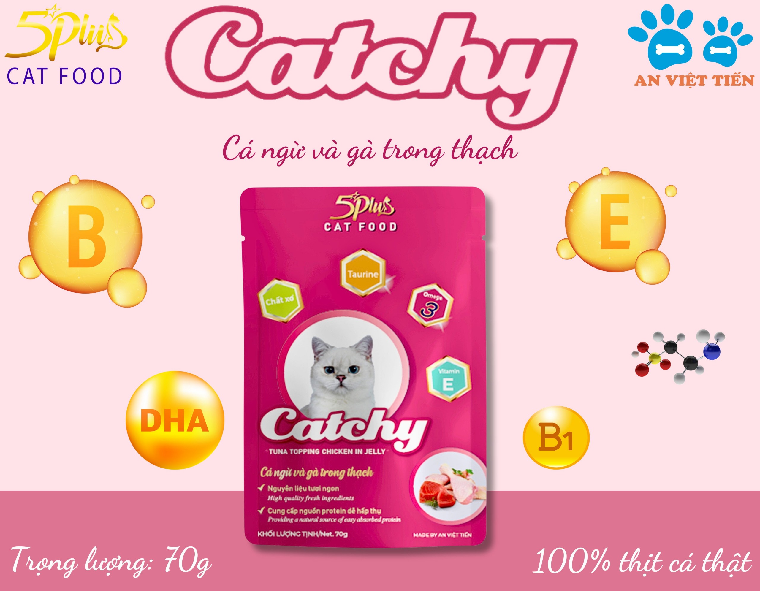 Pate cho mèo mọi lứa tuổi CATCHY 5PLUS CAT FOOD _ THÙNG 48 túi 70g mix vị