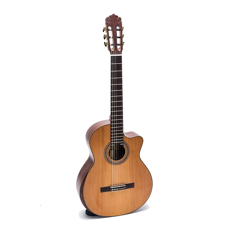 Đàn Guitar Classic DC450J guitar Việt Nam