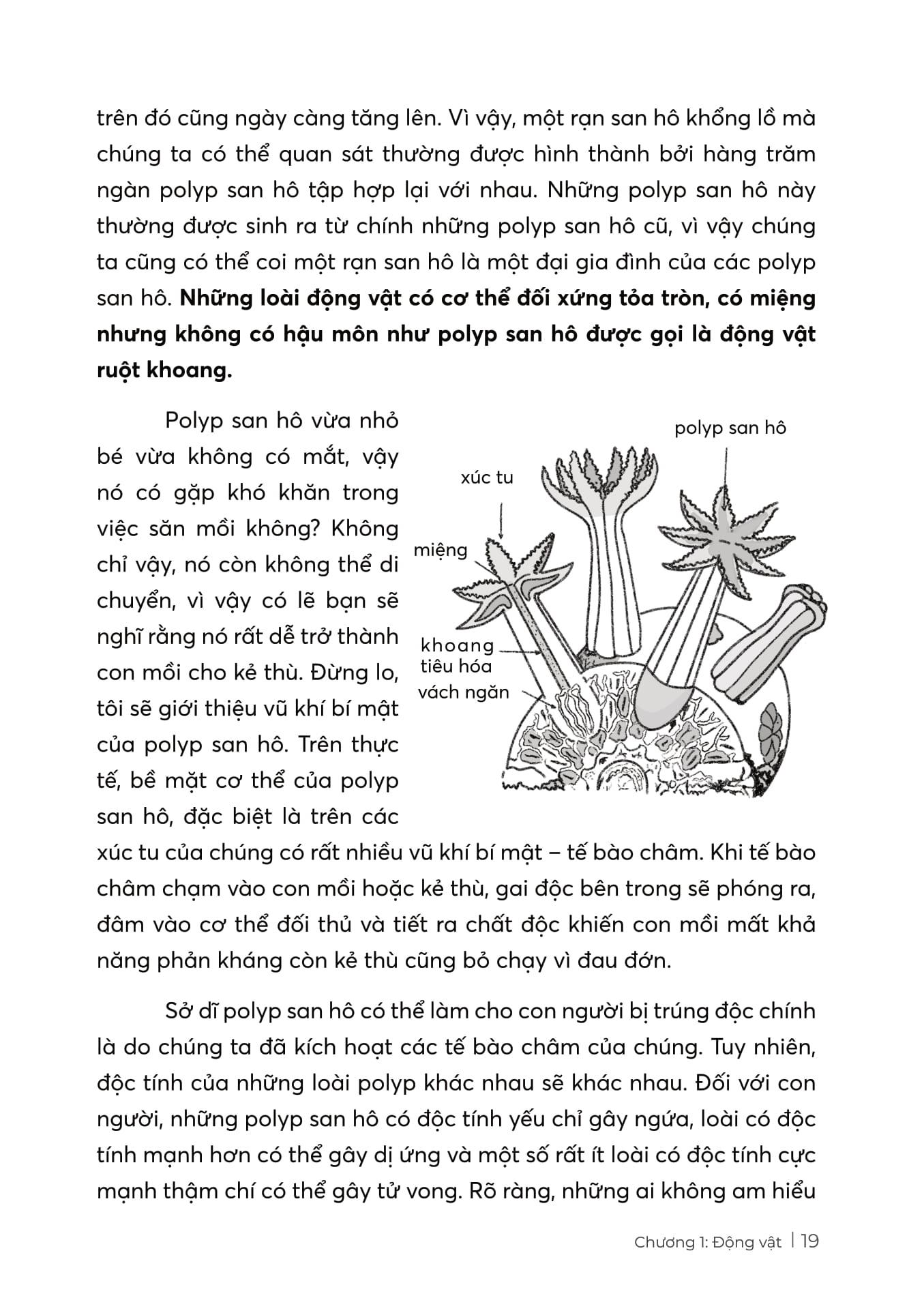 Sách - STEM Sinh Học - Thế Giới Tự Nhiên Kì Diệu
