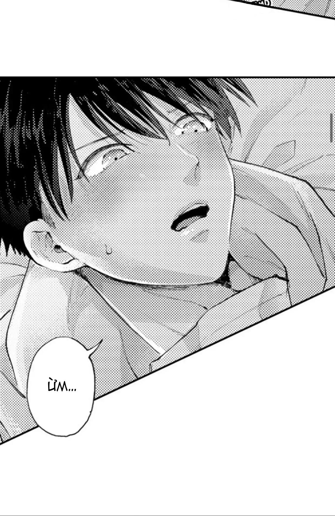 bị tán tỉnh bởi chàng trai lập dị chapter 44 13