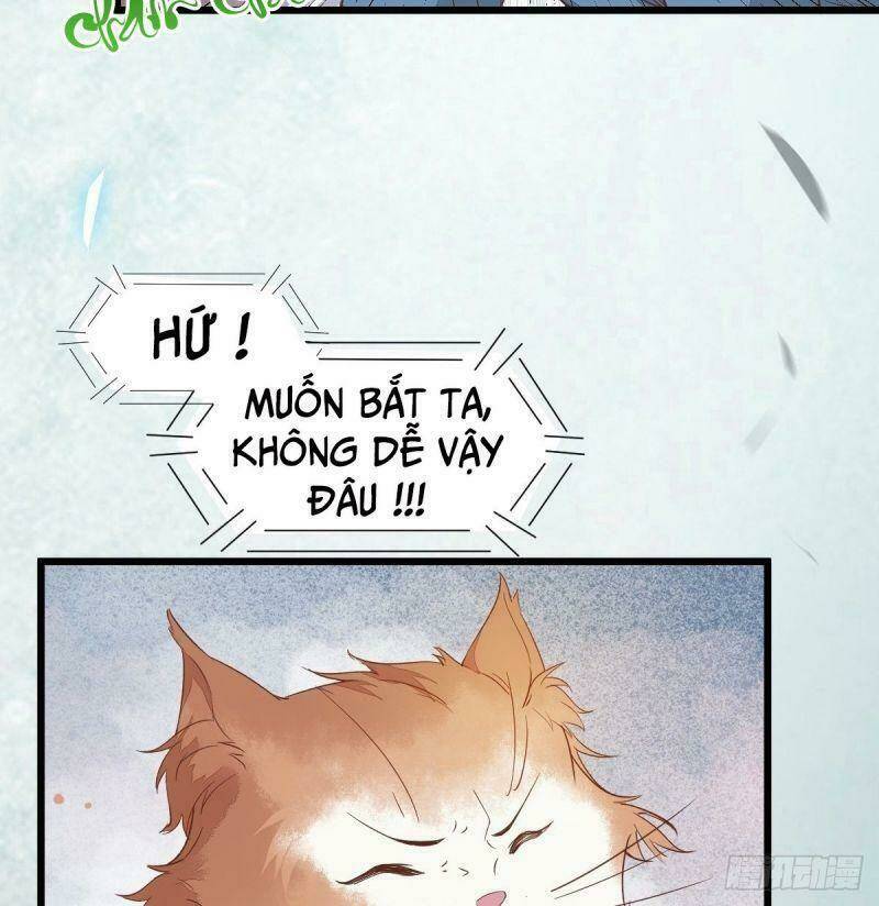 sát thủ vương phi không dễ chọc chapter 39 30