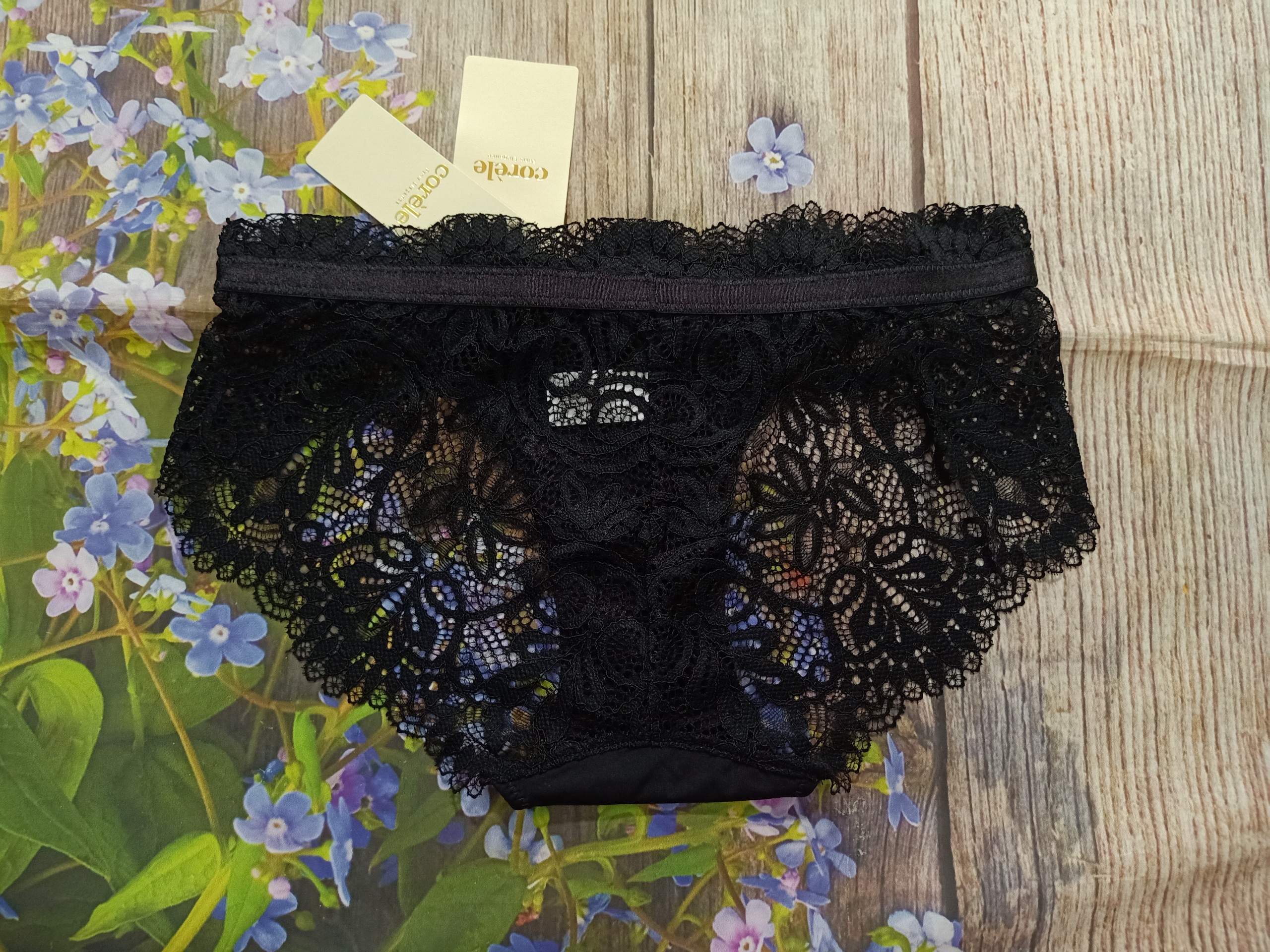 Quần lót ren nữ sexy Corèle V. 02133A lưng vừa nhiều màu