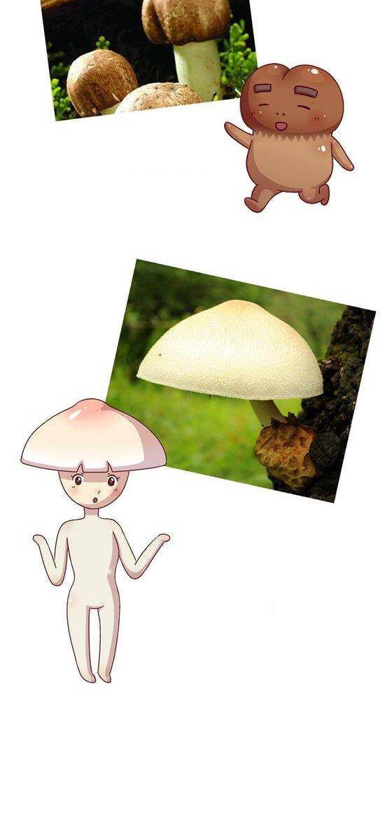 cây nấm kì khả chapter 22 9