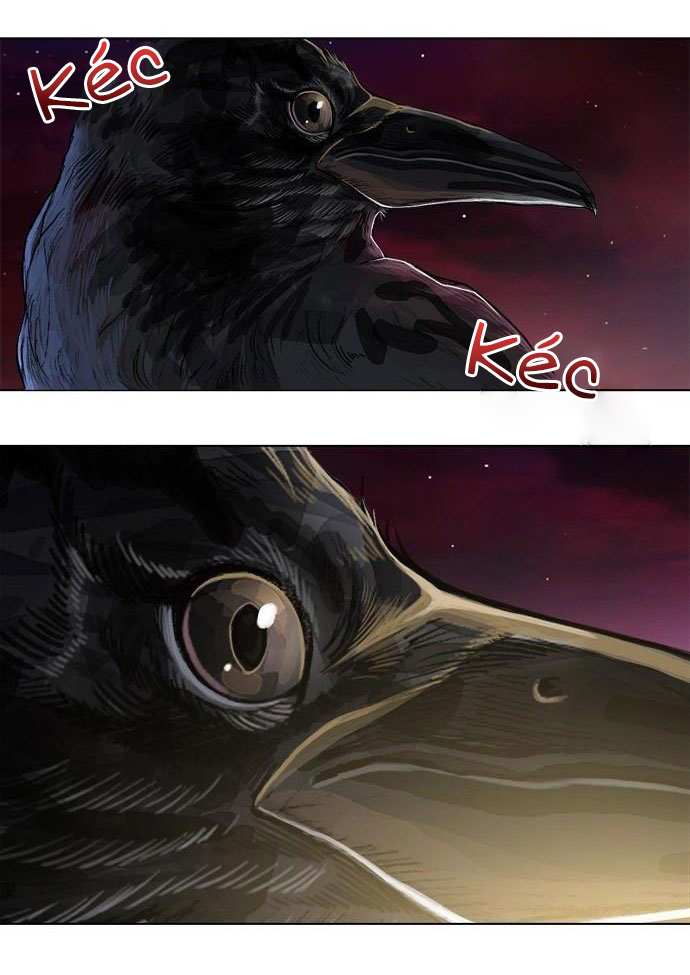 tôi chính là nhà sưu tập chim chapter 9 37