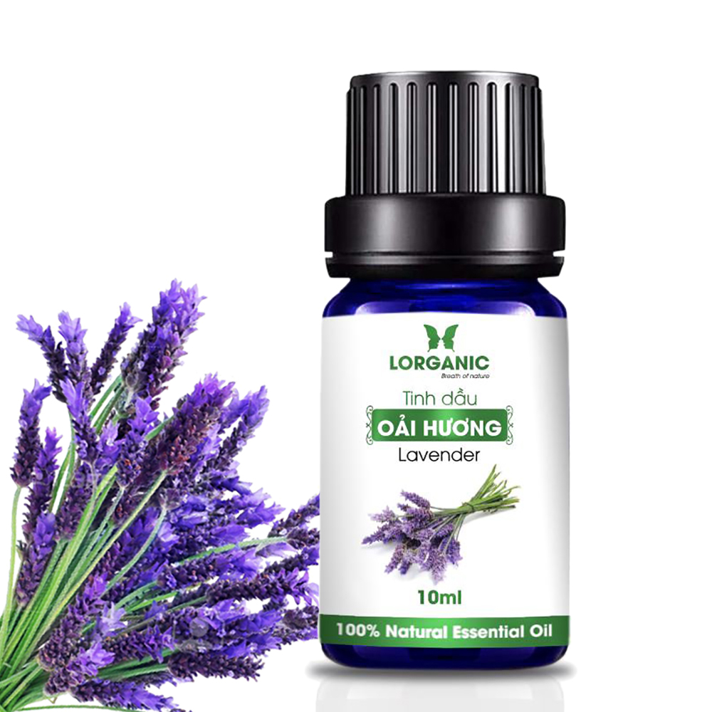 Tinh Dầu Oải Hương Nguyên Chất Lorganic LGN0007