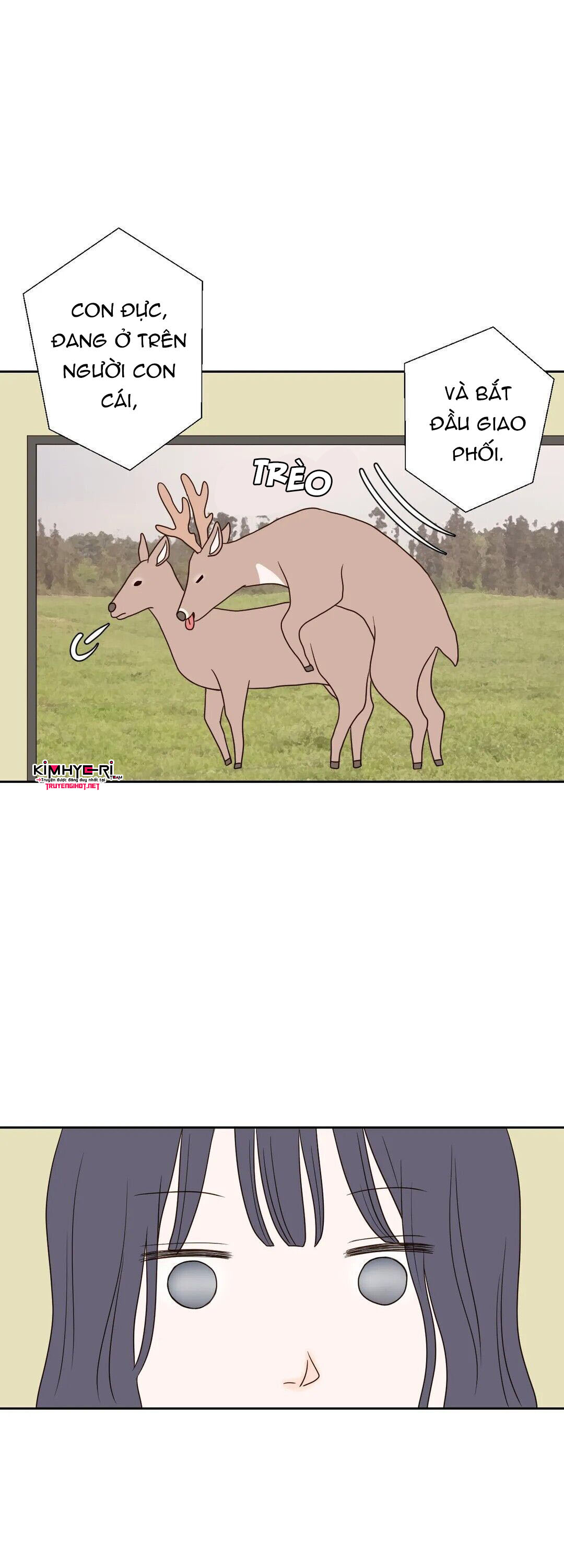 honey bed talk chapter 15 1