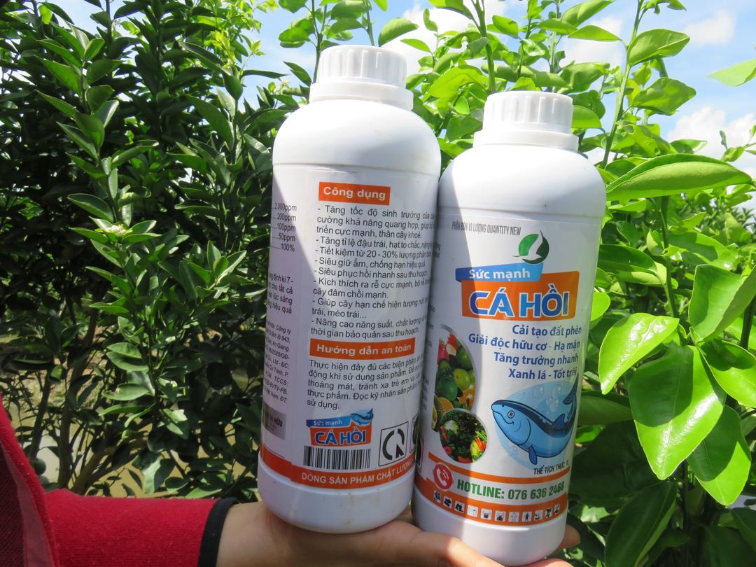 ĐẠM CÁ HỒI- Phân bón vi lượng cải tạo đất, giải độc hữu cơ, hạ mặn. Sức mạnh cá hồi