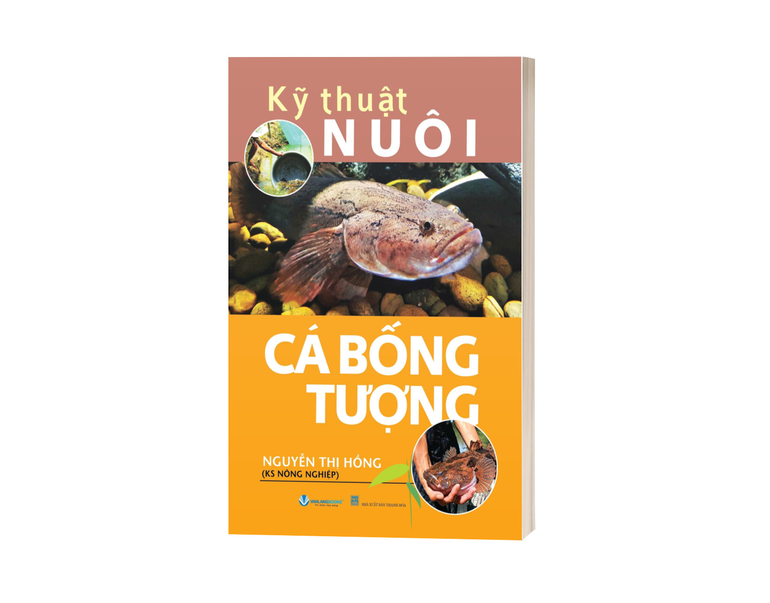 Kỹ Thuật Nuôi Cá Bống Tượng