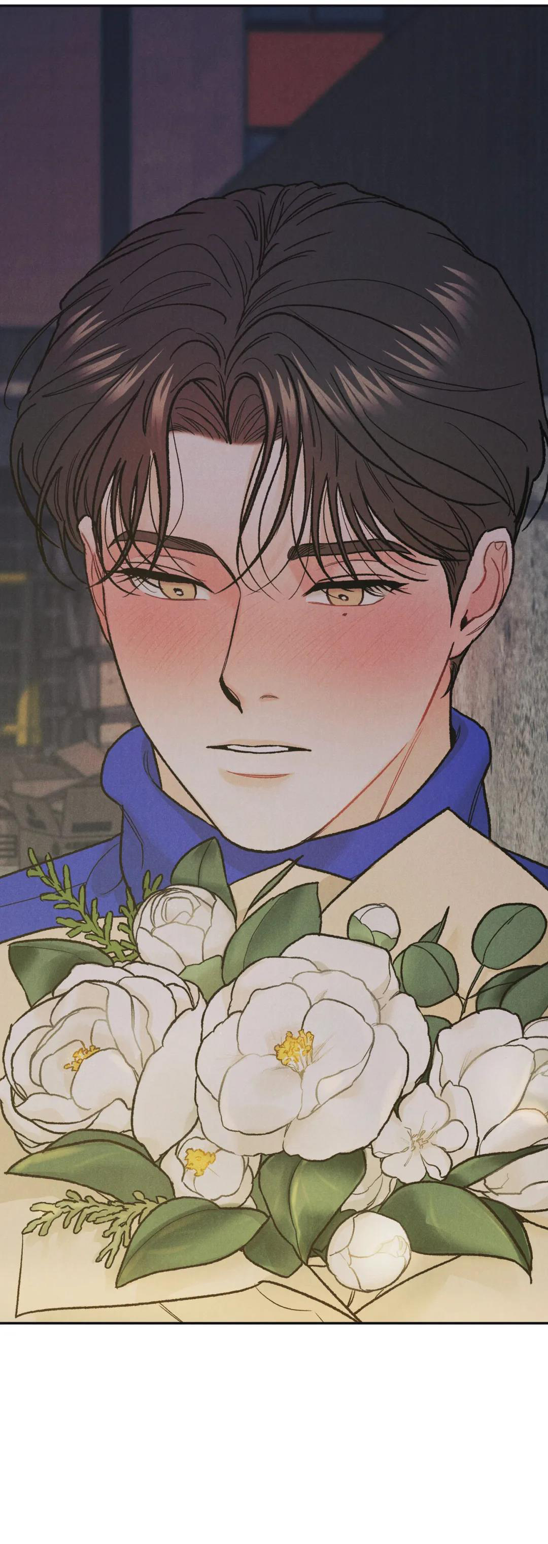 limited run chapter 31 23