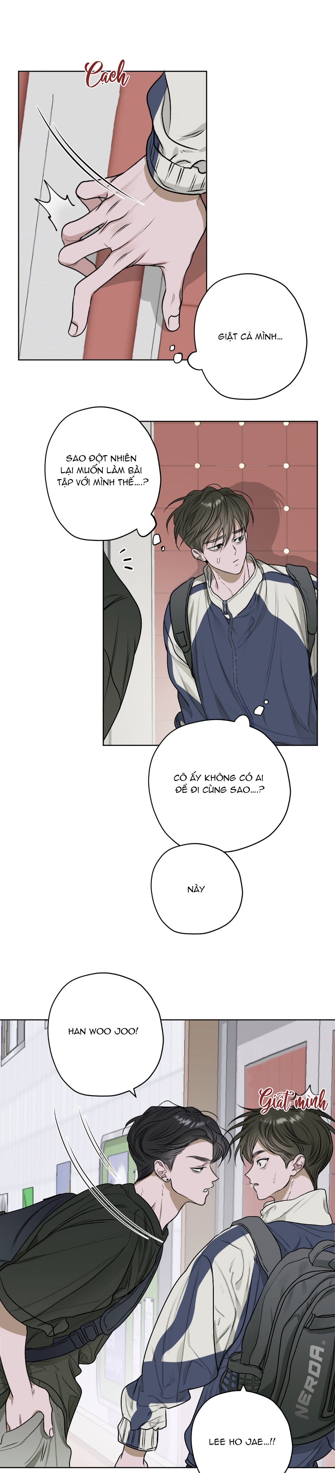 đoá hoa trên mặt hồ chapter 10 11