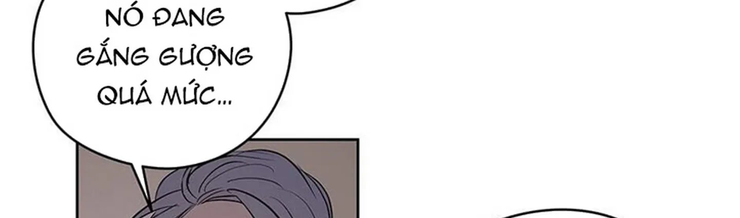 chuyện quái gì với giấc mơ đó vậy chapter 13 129
