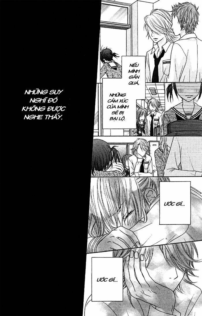 animal jungle chapter 4 25