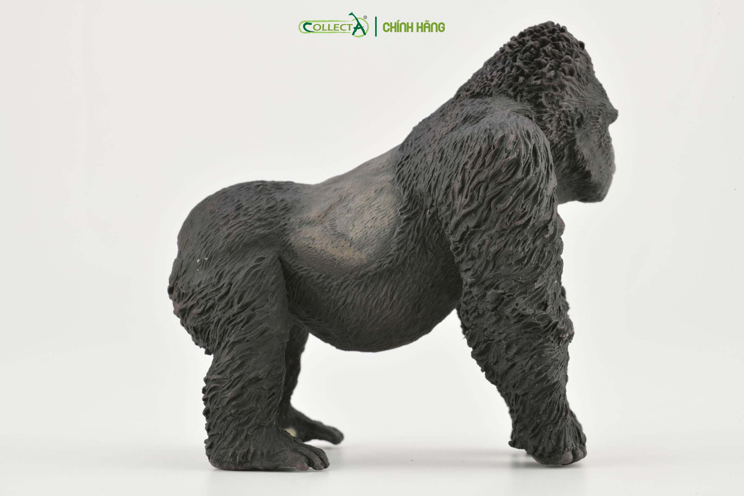 Mô hình thu nhỏ: Khỉ Đột Núi - Mountain Gorilla , hiệu: CollectA, mã HS 9651020[88899] -  Chất liệu an toàn cho trẻ - Hàng chính hãng