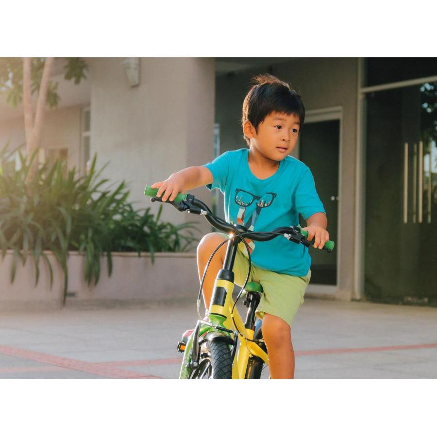 Xe đạp trẻ em Jett Cycles Raider