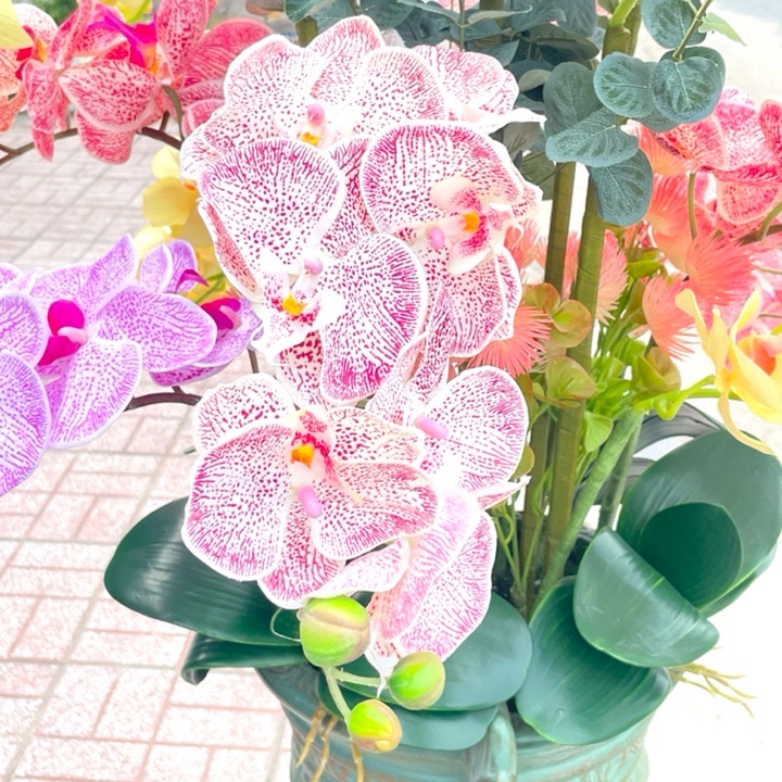 Chậu Hoa LAN HỒ ĐIỆP  Vải cao cấp trang trí nhà cửa