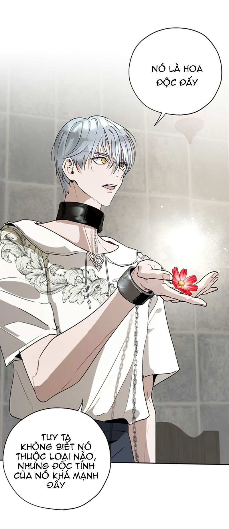cách để cứu rỗi anh trai của nữ chính chapter 20 6