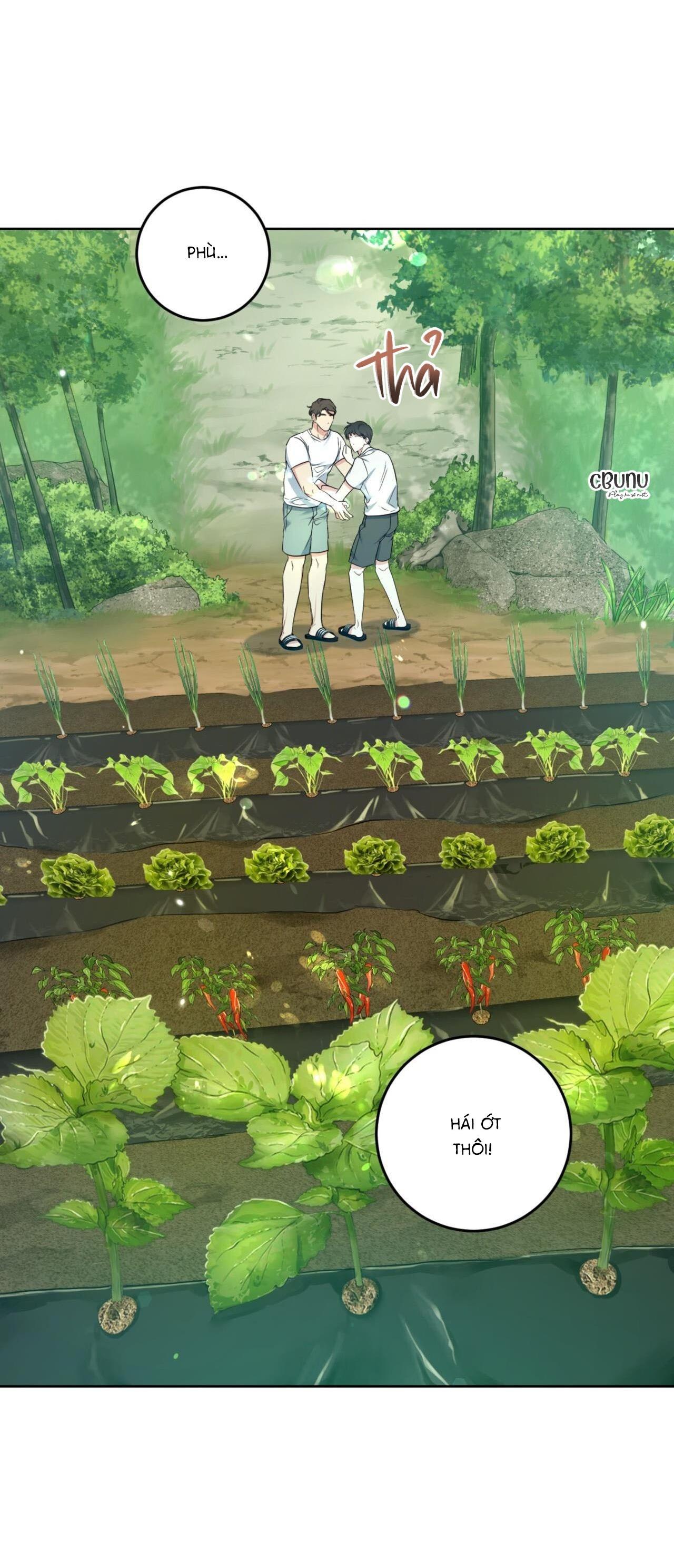 khu rừng tĩnh lặng chapter 3 22