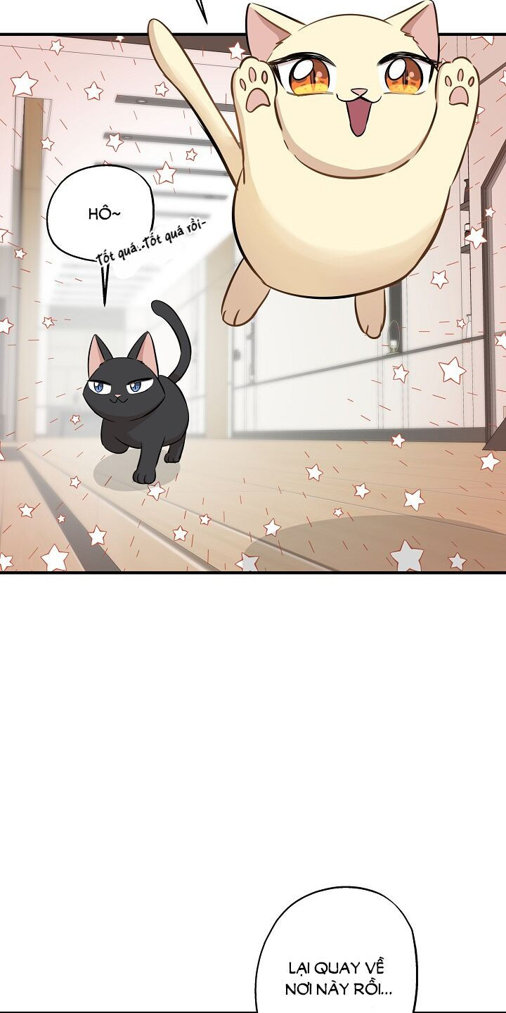 cuộc sống kỳ thú chapter 64 17