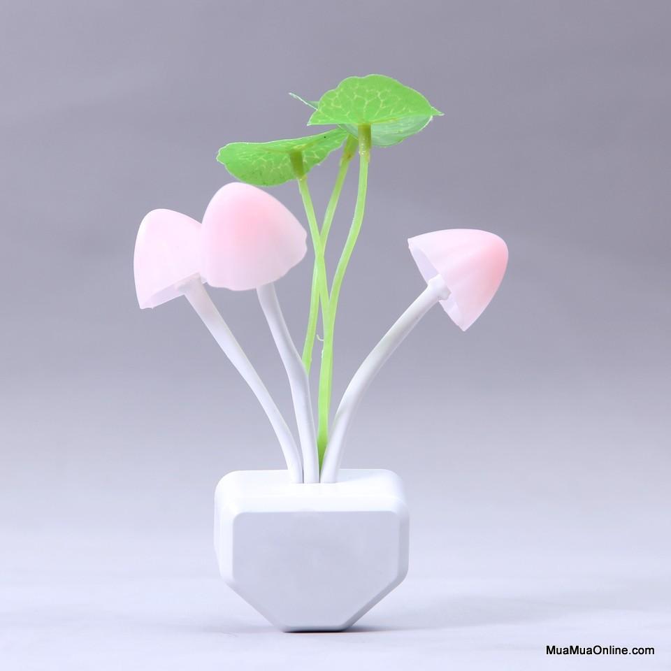 Đèn Ngủ Cảm Ứng Ánh Sáng Hình Nấm