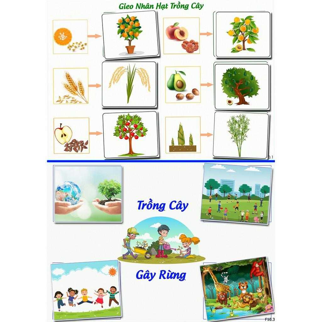 Montessori- Học Liệu Dính Dán Tư Duy Nhân Quả - Matching Book