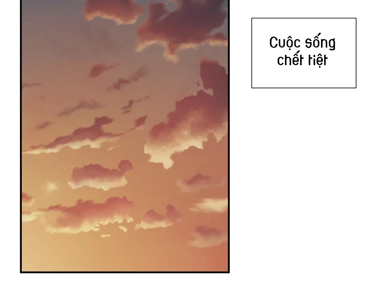 ám ảnh pheromone chapter 31 44