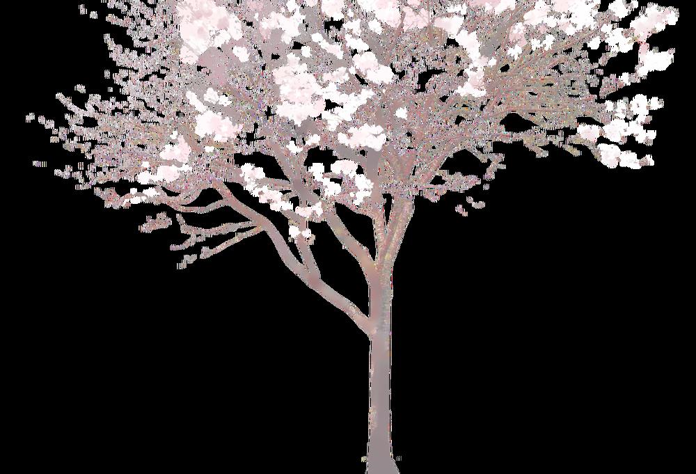 lam sí chapter 31 9