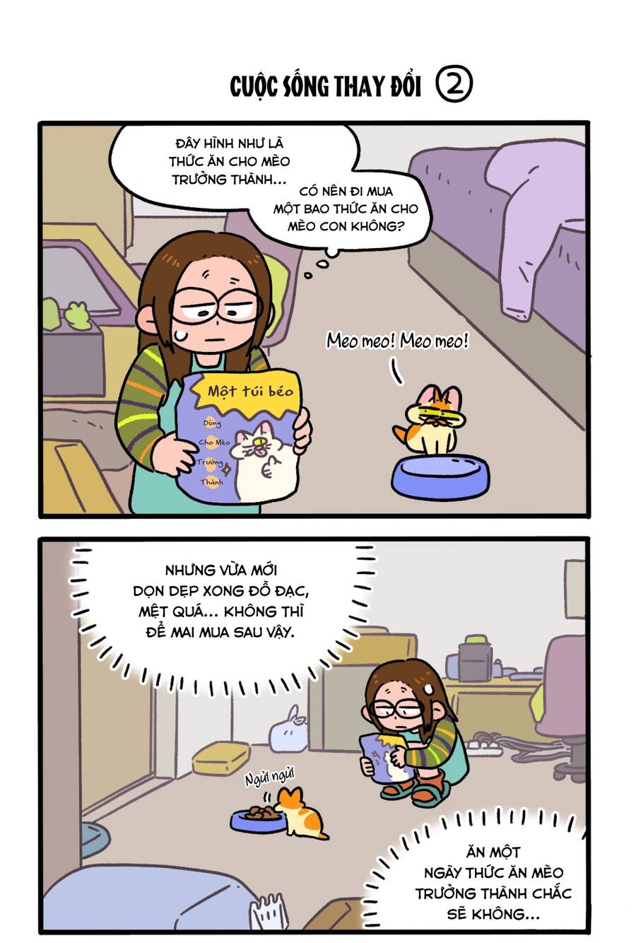 a mãn và mạch trà chapter 143 3