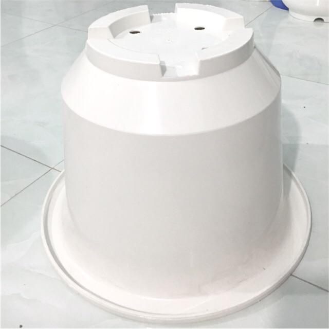 Chậu Nhưa Trồng Cây - Chậu Tròn Vành có chân Cao - Rất Dày, Dẻo