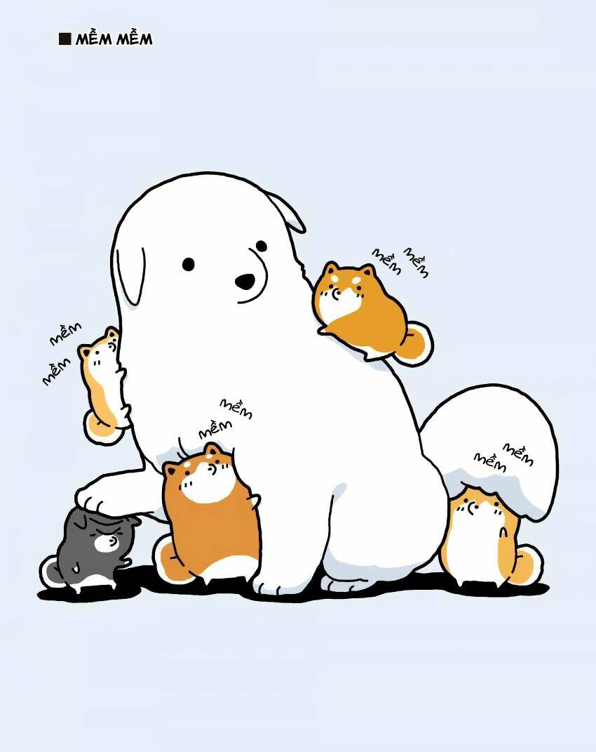 taru shiba chapter 7 6