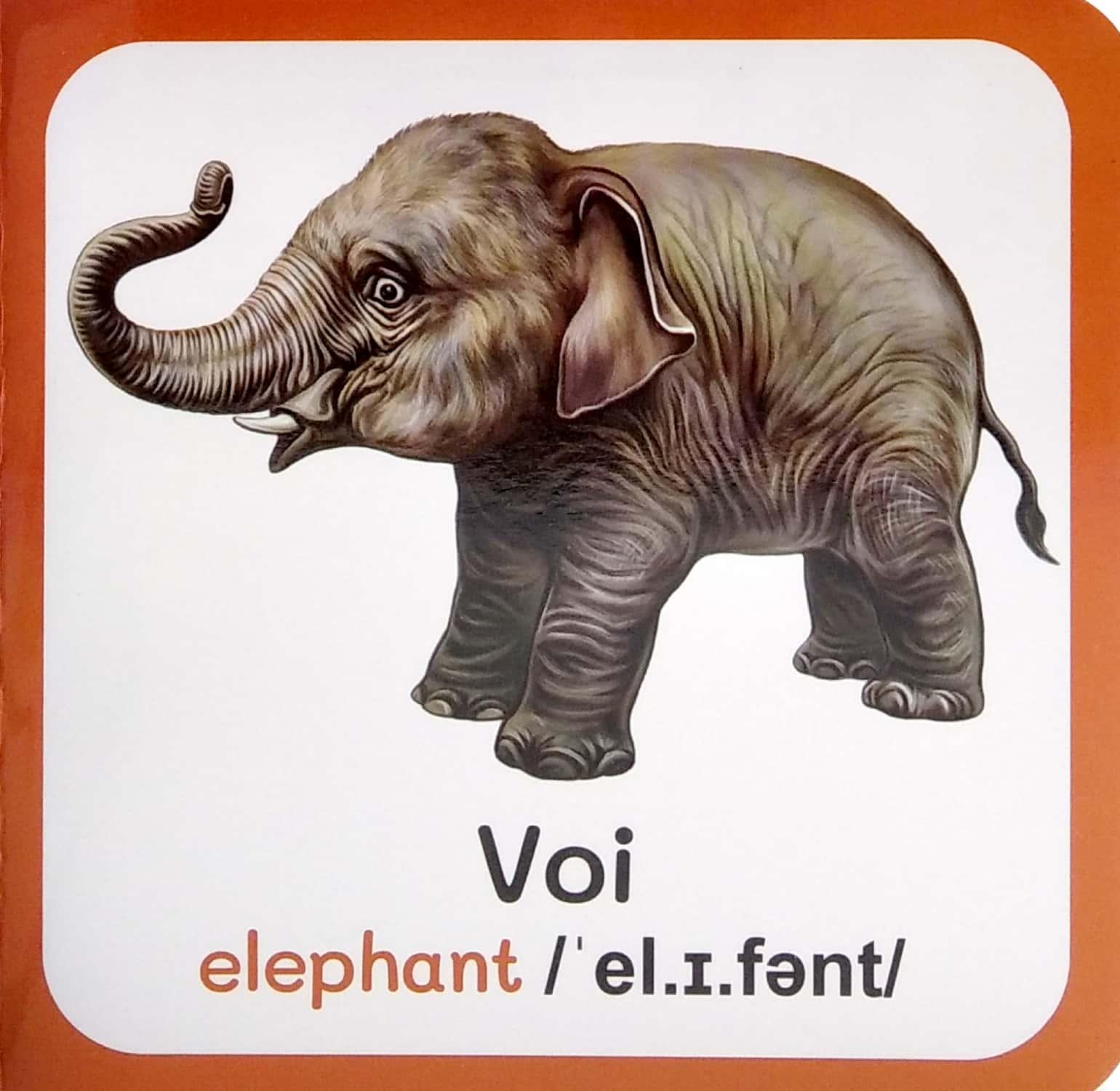 Từ Điển Bằng Hình Đầu Tiên Của Bé - Baby'S First Picture Dictionary - Wild animals - Động Vật Hoang Dã