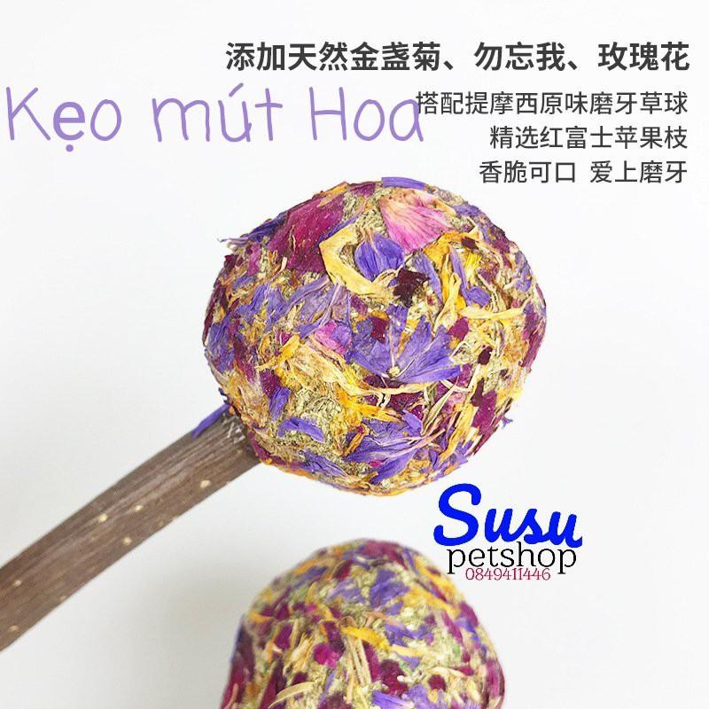 Que Cỏ Hoa cho Thỏ, Bọ và Chinchilla