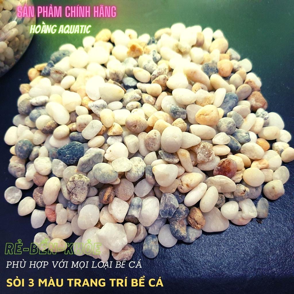 Sỏi 3 Màu Trang Trí Bể Cá, Tiểu Cảnh, Giá Rẻ (100G)