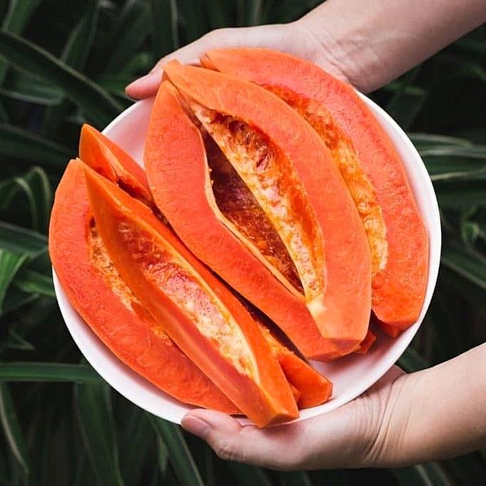 Hạt giống Đu Đủ Lùn Vĩnh Lộc gói 5 hạt - Ruột đỏ sai trái