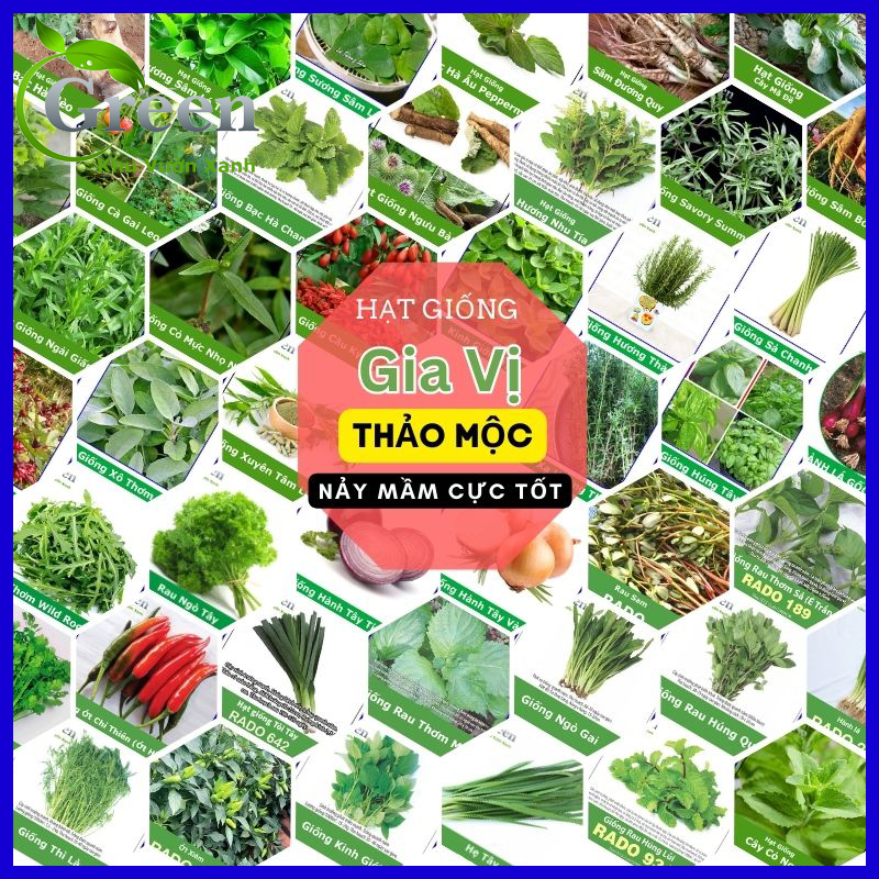 Hạt Giống Rau Thơm Gia Vị Thảo Mộc (Hành, Ngò, Thì Là,...) Dễ Trồng, Nảy Mầm Tốt