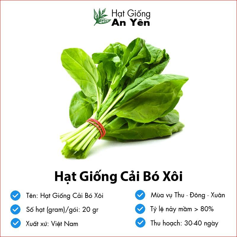 Hạt giống Cải Bó xôi, nhanh thu hoạch, dễ trồng, nảy mầm và năng suất cao